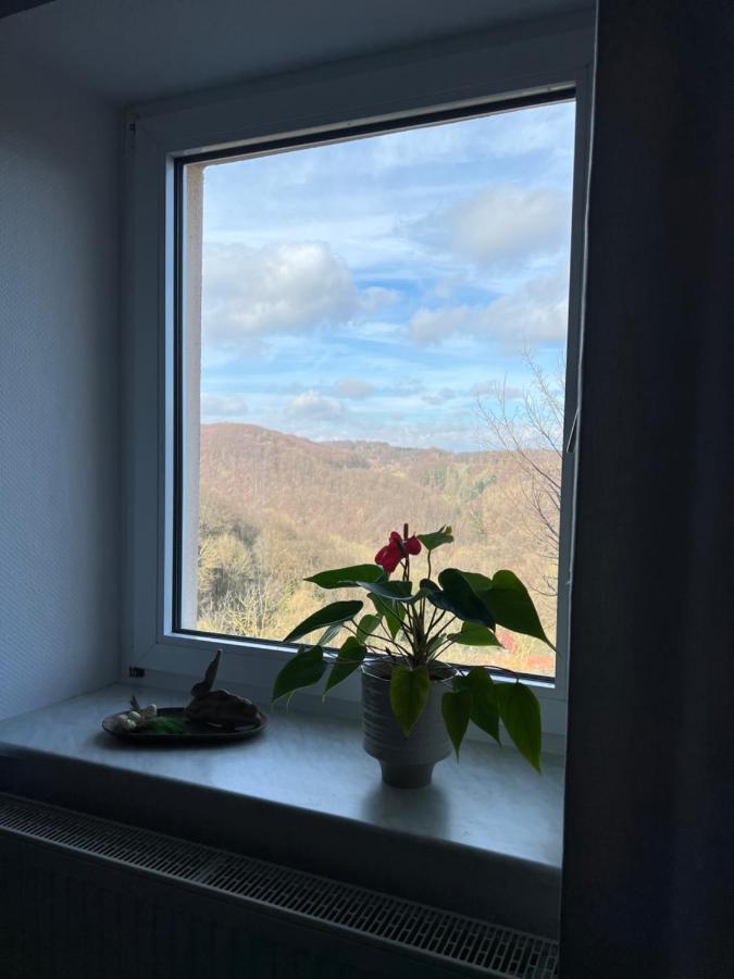 Fi-Eck Apartments Waldeck  Dış mekan fotoğraf